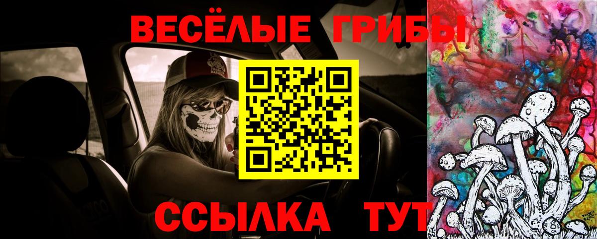Кимры  Галлюциногенные грибы MAGIC MUSHROOMS  как найти   Вход с VPN 